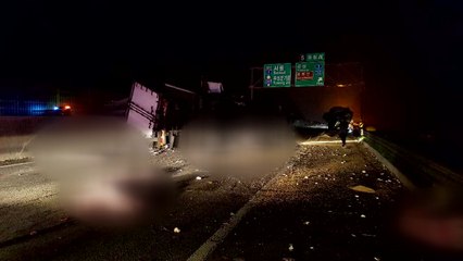 고속도로에서 화물차 추돌...도축돼지 쏟아져 5km 정체 / YTN