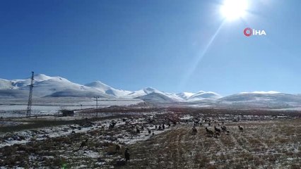 Doğuda Hayvancılıkla Geçimini Sağlayanların Kış Çilesi