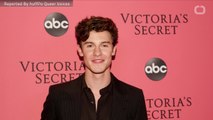 Shawn Mendes Shuts Down Gay Rumors Again