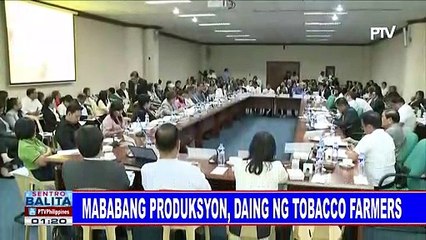 Mababang produksyon, daing ng tobacco farmers