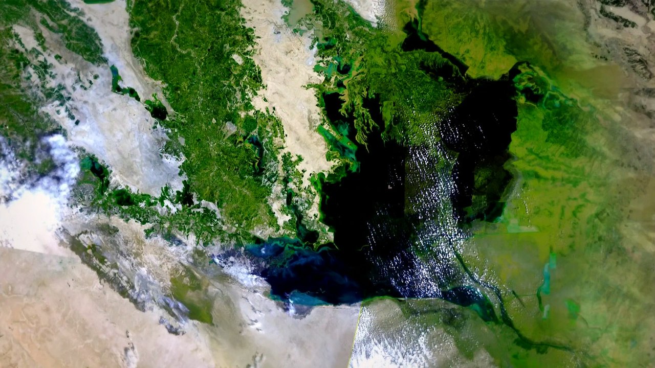 Natural World 2011 Miracle in the Marshes of Iraq