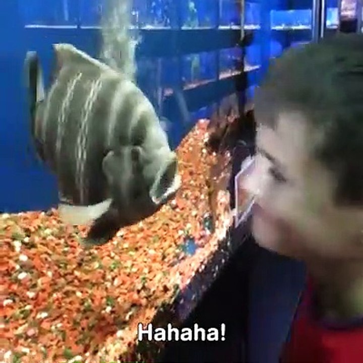 Amazing video of cute baby during fishing on boat