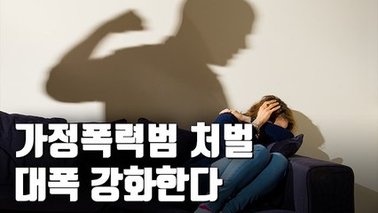 [자막뉴스] 가정폭력 현행범 체포…접근금지 어기면 징역형