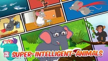 Super Intelligent Animals | The Dr. Binocs Show | Best Learning Videos For Kids | Peekaboo Kidz