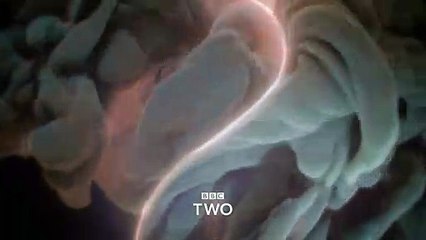 Death And Nightingales Season 1 Episodes 1 |S1e01|HDTV