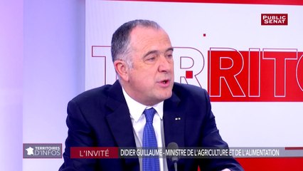 Suppression de la hausse de la taxe sur les carburants : « Le Sénat est dans une posture politique » tacle Didier Guillaume