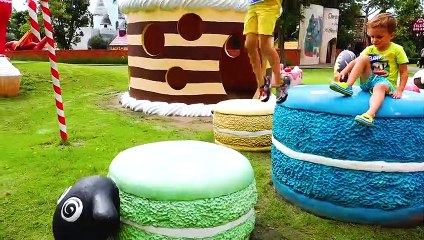 Vlad and mama walking at farm sheep Family fun playtime