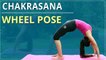 How To Do WHEEL POSE | Step By Step CHAKRASANA | Simple Yoga Lessons | Yoga For Beginners