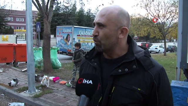 Sokak hayvanları her gün onun yolunu gözlüyor