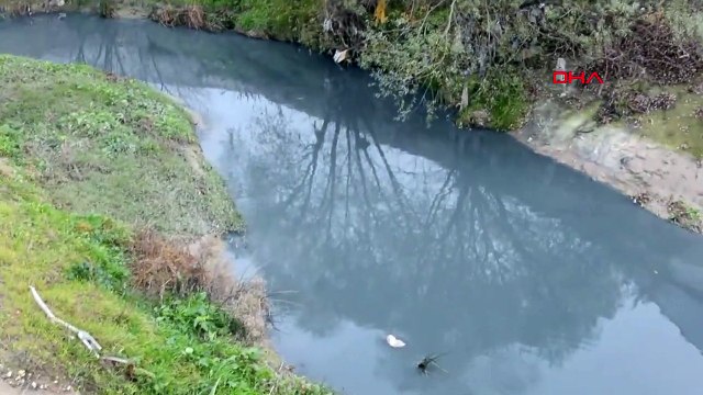 Çorlu Deresi, kirlilikten griye boyandı