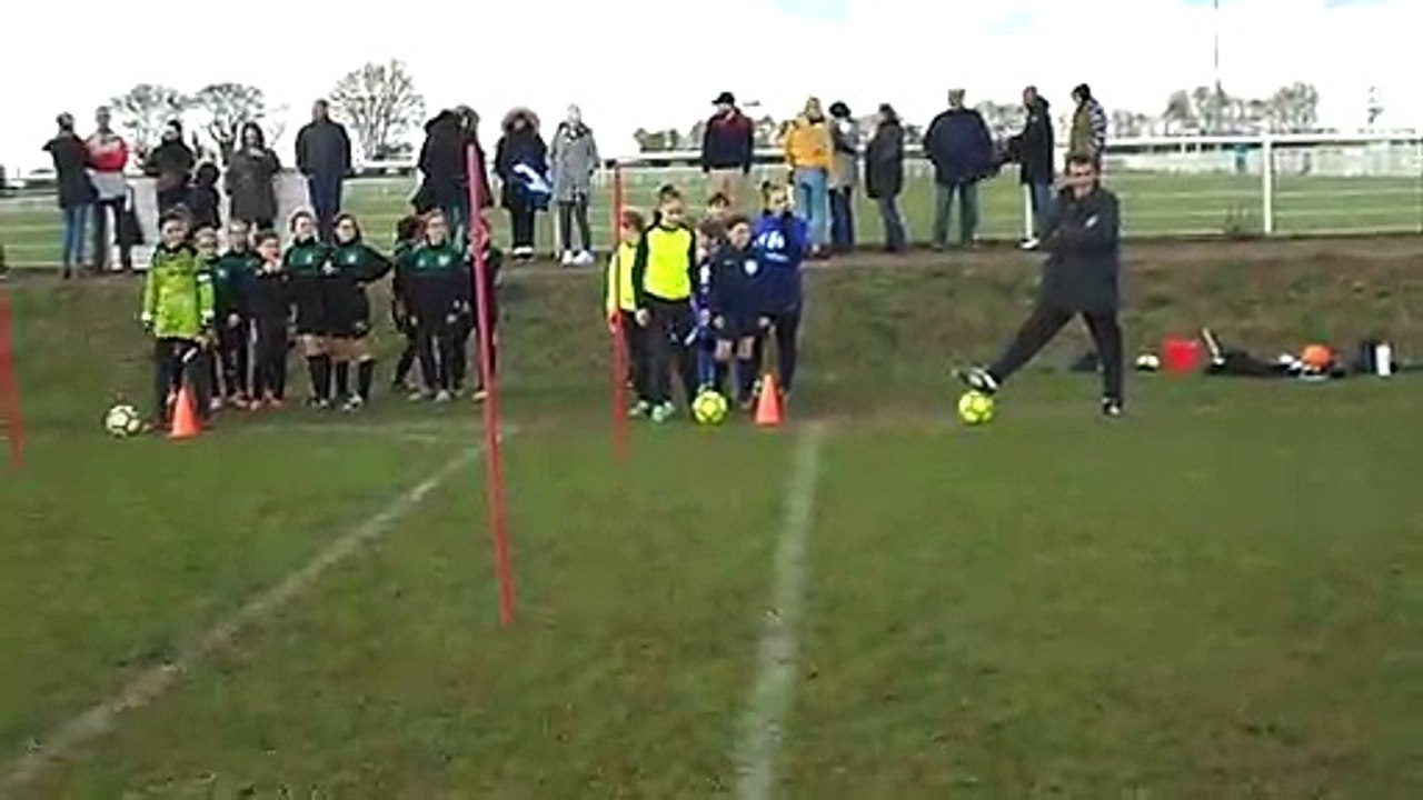 U10/U13F / AIGREFEUILLE (2)