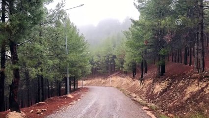 Adıyaman'da sis etkili oldu