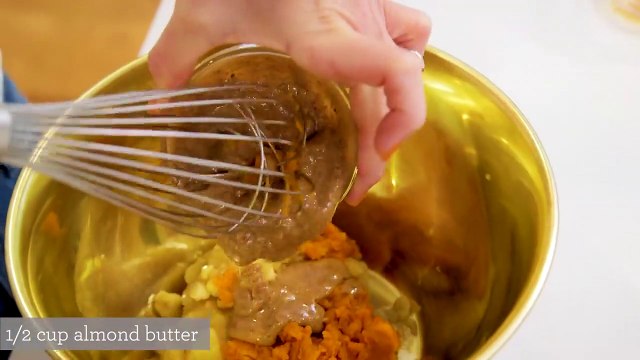 Mice Rats Rodent Control Holiday City Silver Ridge Park NJ 732-504-3758 Ozane.com