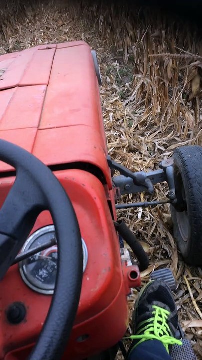 Massey ferguson 165 -sip berac- DULKANOVIC