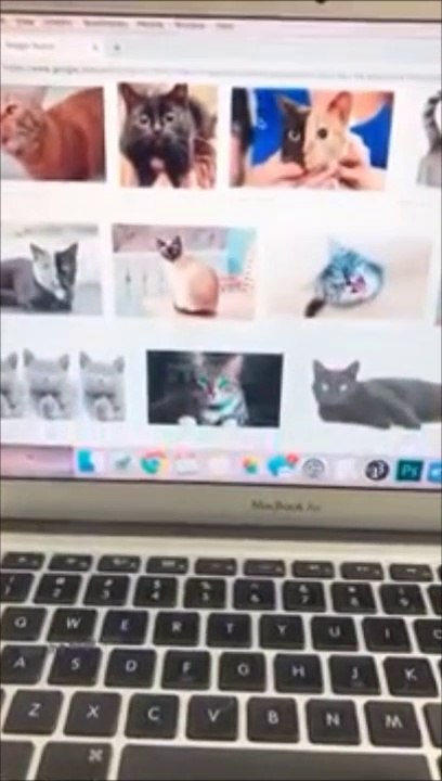 Quand ton chien est jaloux... Très jaloux