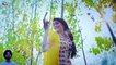 Tera Lagna Ni Ji with Lyrics | Ravinder Grewal | Latest Punjabi Songs 2018 | Yellow Music