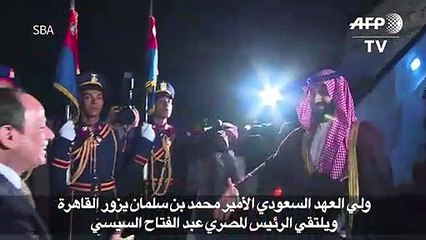 ولي العهد السعودي يزور مصر ويلتقي السيسي