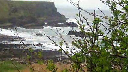Northern Ireland Giant's Causeway