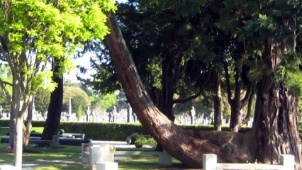 Glasnevin Burial ground, Dublin, Ireland