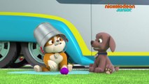 Paw Patrol La Patpatrouille Les Chiens Sirènes Youtube