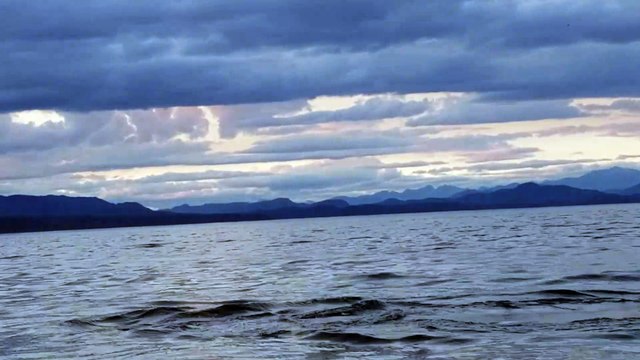 Killer Whales Circle in on Humpback Whales
