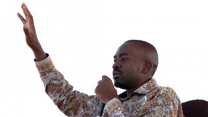 'My hands are clean' Zimbabwe's Chamisa tells post-poll inquiry