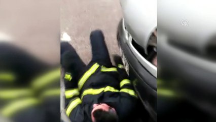 Otomobilin motoruna sıkışan köpeği itfaiye kurtardı - ADIYAMAN