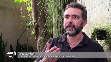 Deforestación en Brasil: un millón de campos de fútbol en un año