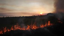 Allarme Amazzonia, mai così tanti alberi tagliati in 10 anni