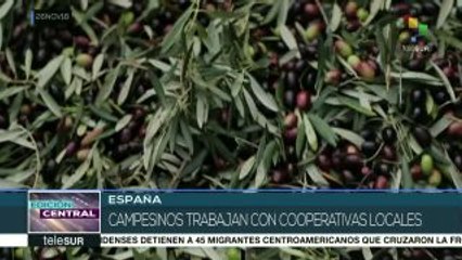 España: andaluces piden a candidatos protección y apoyo al campo