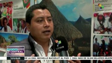 Colombia: ONU alerta crítica situación que enfrentan pueblos indígenas