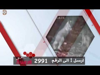 خدمة اغرب من الخيال - خدمات الرماس / Services
