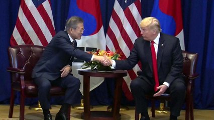 백악관,  G20서 한미정상회담 개최 확인...북미 중재 주목 / YTN