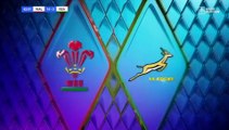 Wales v South Africa - 2nd Half - 2018 Internationals