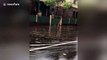 Cars drive on flooded roads as torrential rain lashes Sydney