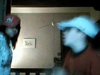 Who let the dogs out (en mode : gogol)