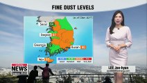 Lingering dust in central regions _ 112918