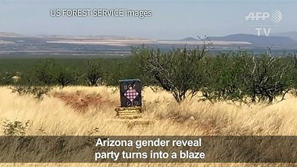 Video shows moment wildfire was started at gender reveal party