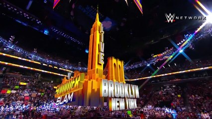 My experience at WWE SUMMER SLAM