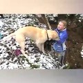 Sevimli Köpeklerin Kar İle Mücadeleleri
