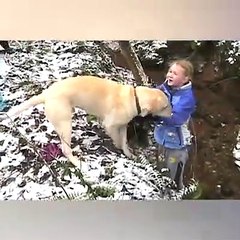 Sevimli Köpeklerin Kar İle Mücadeleleri