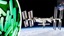 'Space bugs' onboard ISS could pose risk to astronauts