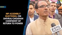 MP Assembly Elections: CM Shivraj Chouhan confident of return to power