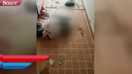 2 kedi açlık ve susuzluktan öldü