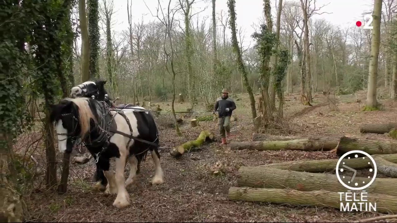 Histoire histoires - Le Salon du cheval
