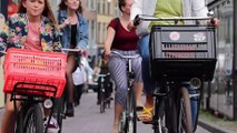 Hollanda'da bisiklet yaşam biçimi - AMSTERDAM