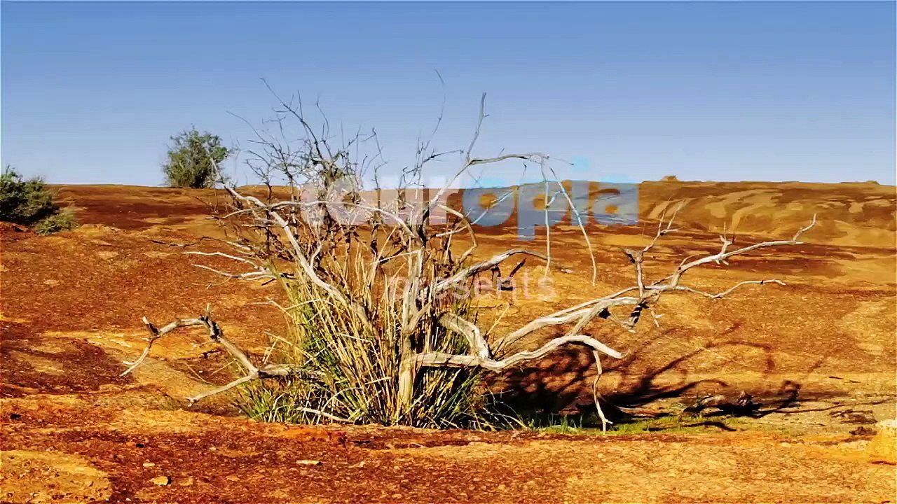 10 Best Places to Visit in Australia - Travel Video