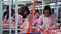 Memleketine kurduğu fabrikayla kadın istihdamına katkı sağlıyor - ELAZIĞ