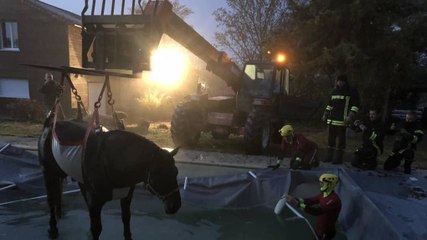 Un cheval tombe dans une piscine et est sauvé par les pompiers à Orches !