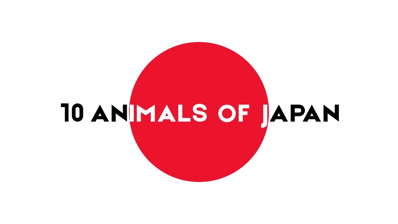 10 Animals of Japan